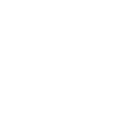 008 pneumonia copie